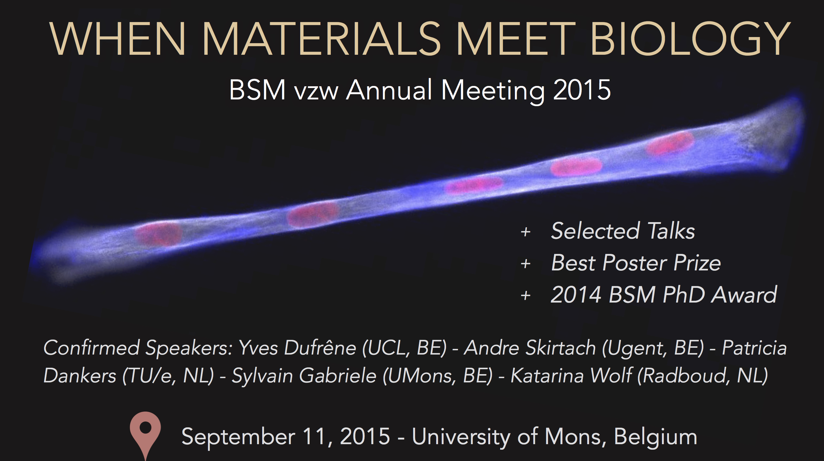 BSM Annual Meeting 2015